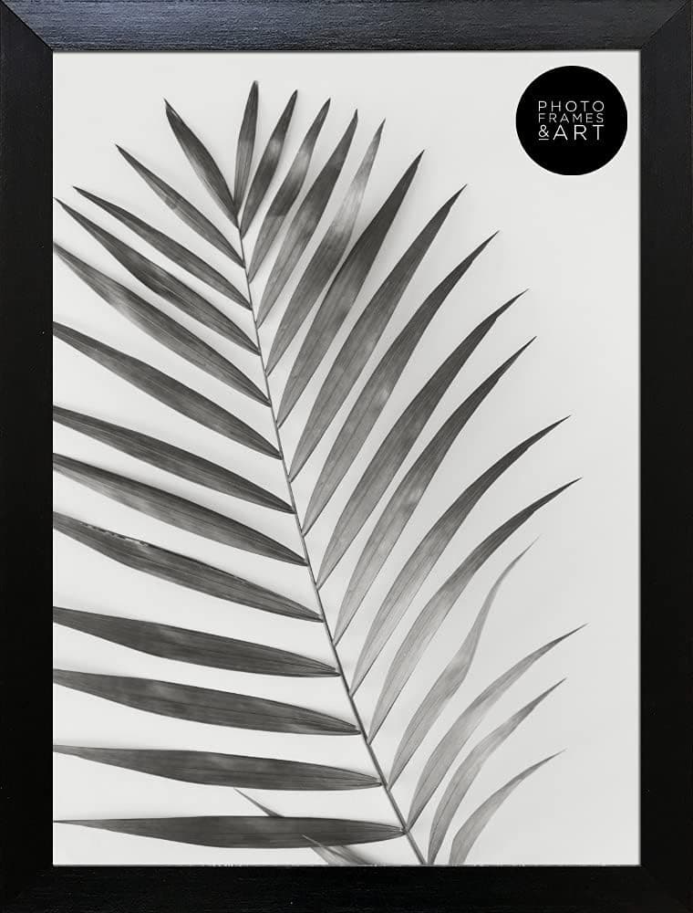 pf+a REAL GLASS A4 Picture Frame Oxford Black